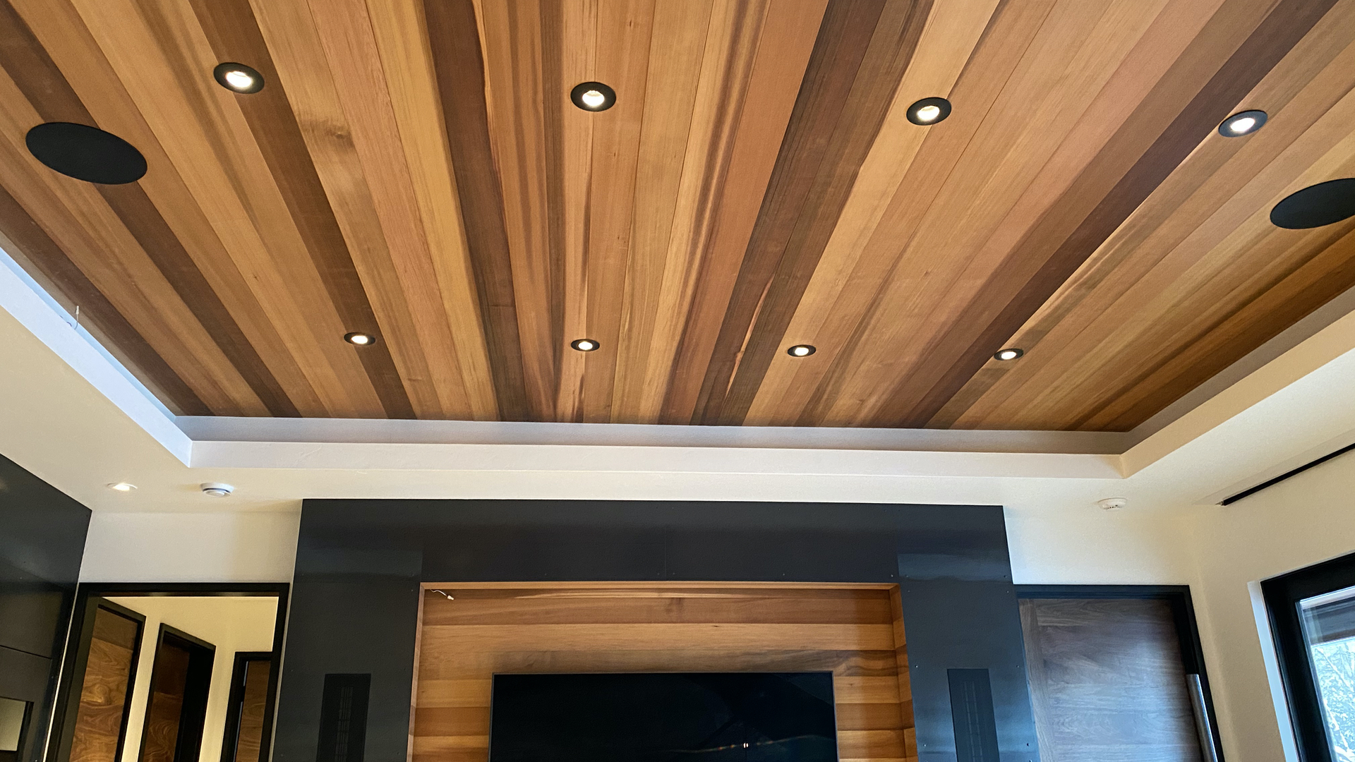 PRODUCTS 2 In Ceiling